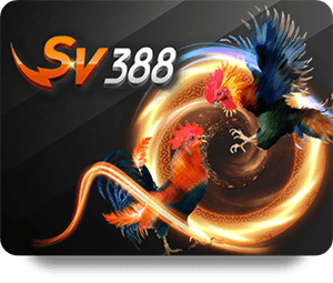 Những sai lầm thường gặp khi chơi bài poker trực tuyến